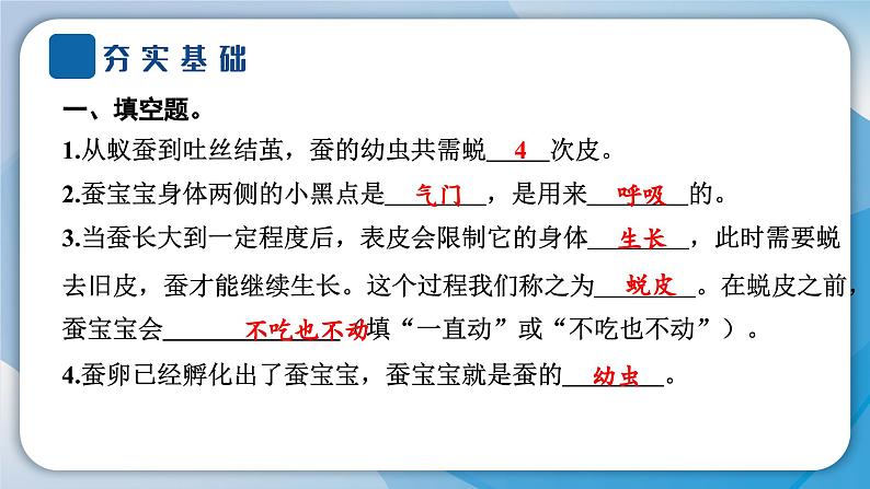 教科版科学三年级下册(2-3)蚕长大了习题2第4页