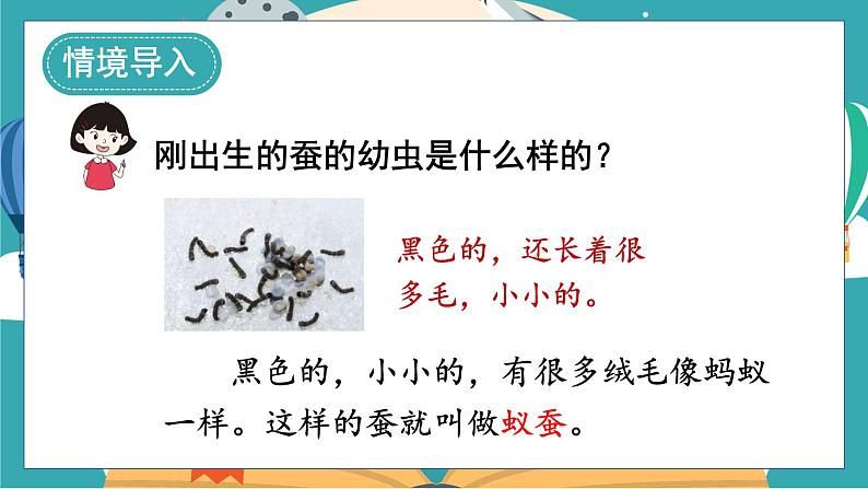 教科版科学三年级下册(2-3)蚕长大了课件PPT第2页