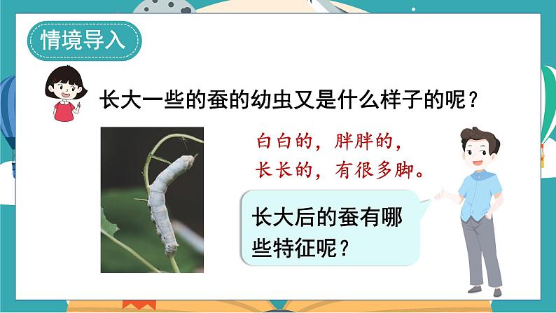 教科版科学三年级下册(2-3)蚕长大了课件PPT第3页