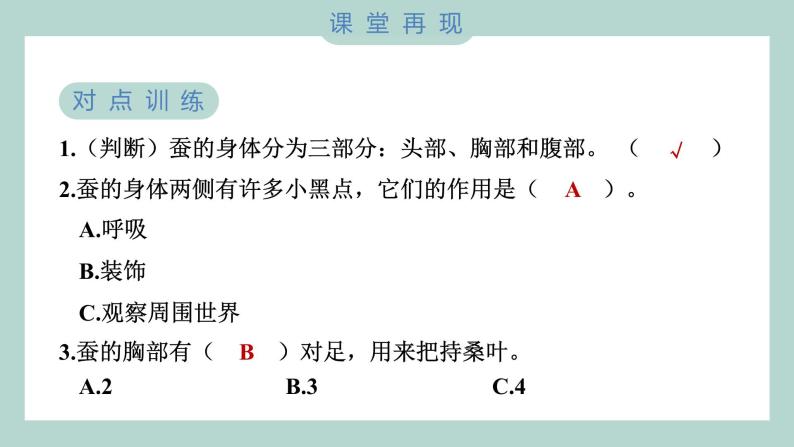 教科版科学三年级下册（2-3）蚕长大了习题6课件PPT06