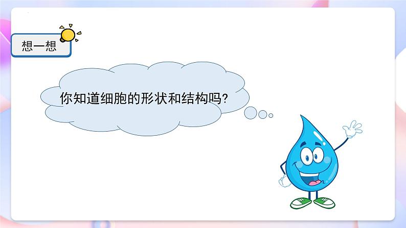 冀人版科学五年级下册4.12《观察细胞》课件06