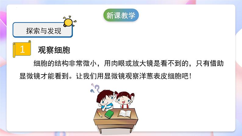 冀人版科学五年级下册4.12《观察细胞》课件08