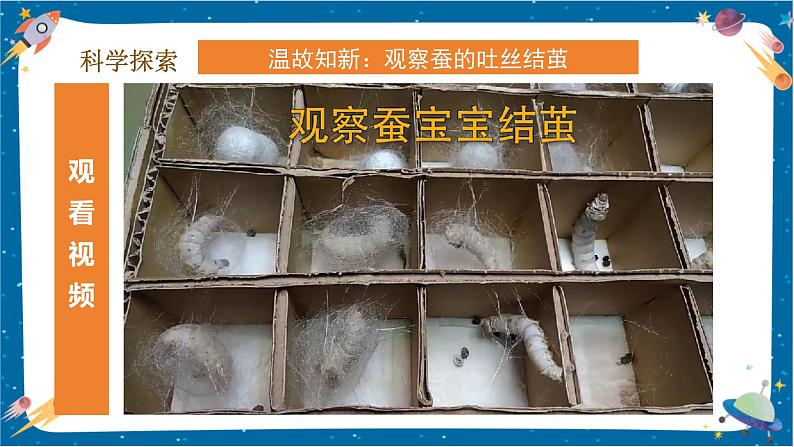 【核心素养】2.4《蚕变了新模样》课件+教案(教科版科学三下)06