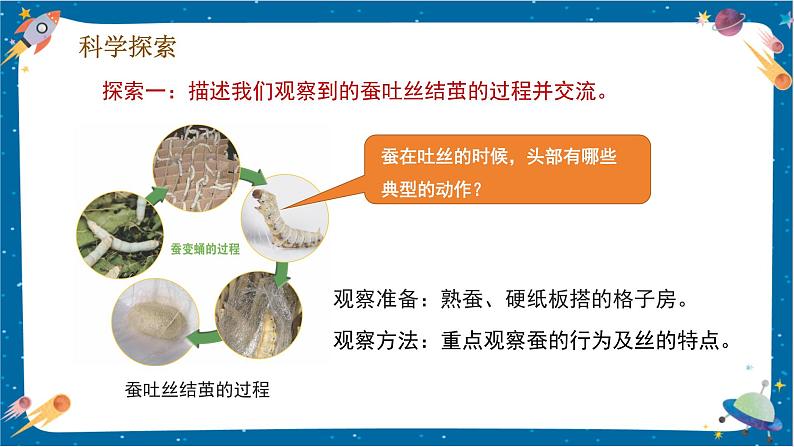 【核心素养】2.4《蚕变了新模样》课件+教案(教科版科学三下)07