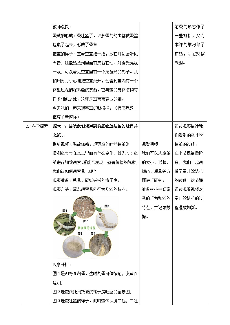 【核心素养】2.4《蚕变了新模样》课件+教案(教科版科学三下)02