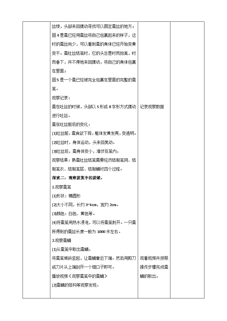 【核心素养】2.4《蚕变了新模样》课件+教案(教科版科学三下)03
