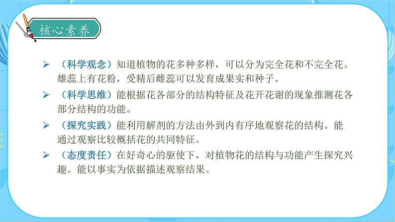 教科版科学四年级下册 1.5 凤仙花开花了 同步课件第4页