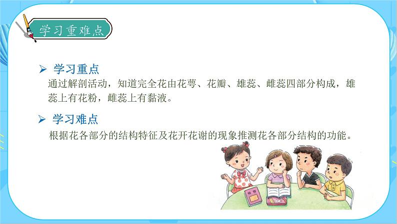 教科版科学四年级下册 1.5 凤仙花开花了 同步课件第5页