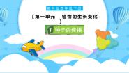 科学四年级下册7.种子的传播优质课ppt课件