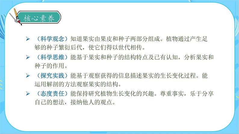 教科版科学四年级下册 1.6 果实和种子 同步课件第4页