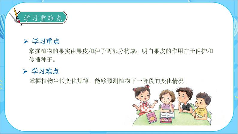 教科版科学四年级下册 1.6 果实和种子 同步课件第5页
