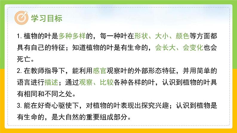 教科版 科学 一上 《观察叶》课件+教案(含教学反思)02