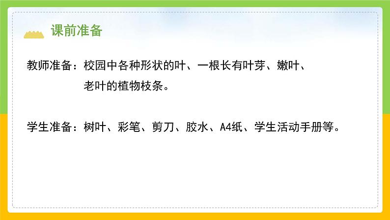 教科版 科学 一上 《观察叶》课件+教案(含教学反思)03