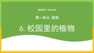教科版 (2017)一年级上册5.植物是“活”的吗优秀教学课件ppt