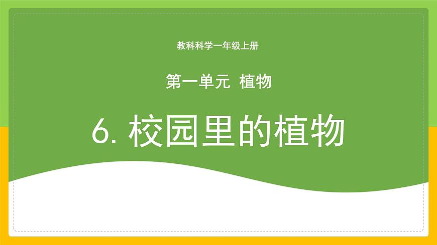 教科版小學科學一年級上冊 《校園里的植物》課件第1頁