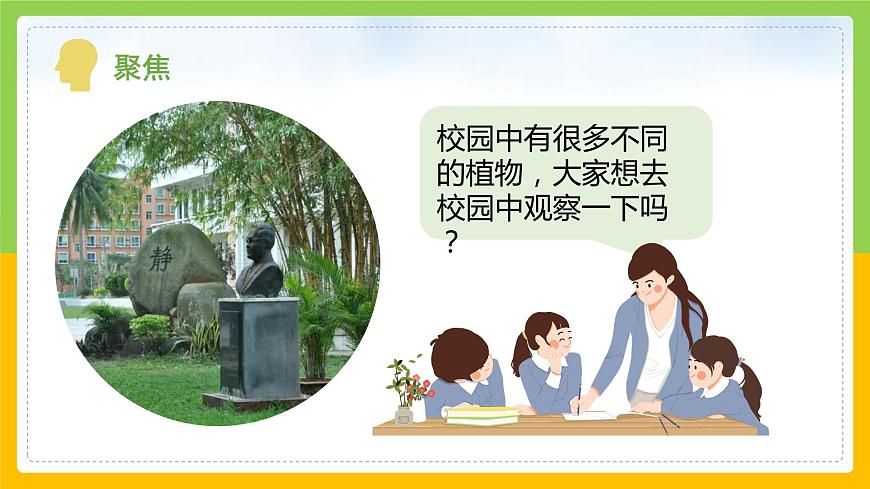 教科版小學科學一年級上冊 《校園里的植物》課件第4頁