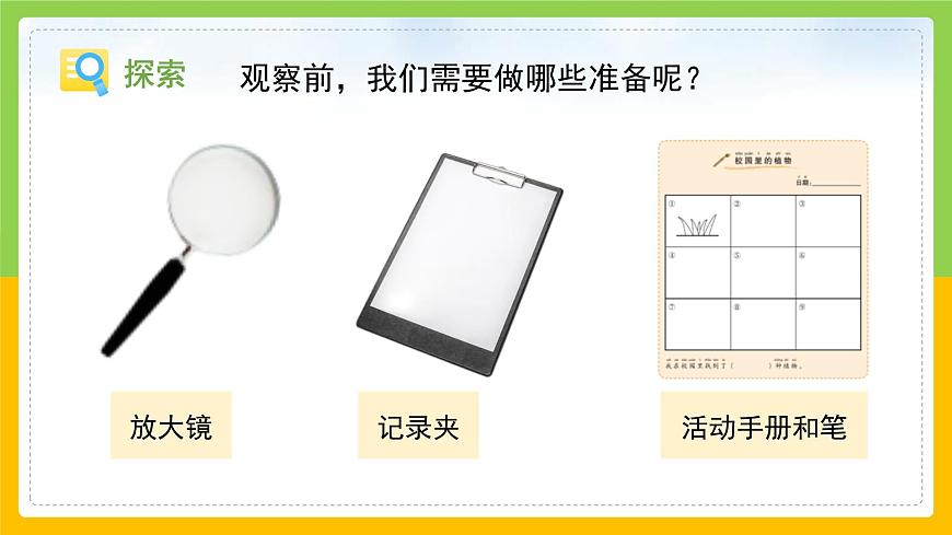 教科版小學科學一年級上冊 《校園里的植物》課件第5頁