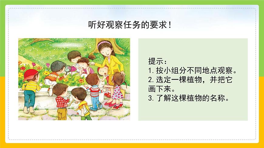 教科版小學科學一年級上冊 《校園里的植物》課件第8頁