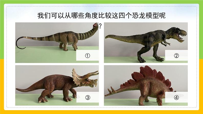 教科版 科学 一上 《在观察中比较》 课件+教案(含教学反思)05