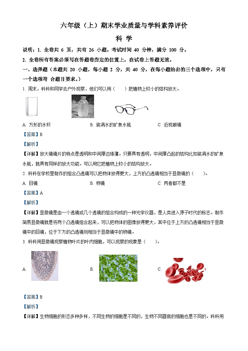 ,2023-2024学年广东省深圳市罗湖区教科版六年级上册期末考试科学试卷第1页