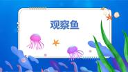 科学一年级下册5.观察鱼背景图课件ppt