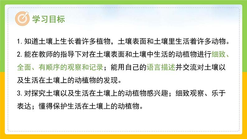 教科版 科学 二年级上册《土壤——动植物的乐园》课件+教案(含教学反思)02