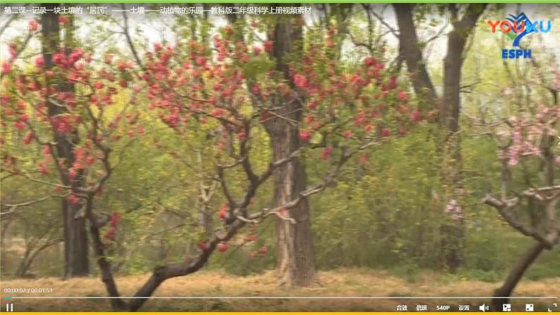 教科版 科学 二年级上册《土壤——动植物的乐园》课件+教案(含教学反思)05