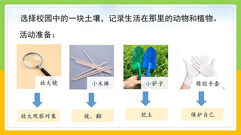 教科版 科学 二年级上册《土壤——动植物的乐园》课件+教案(含教学反思)06