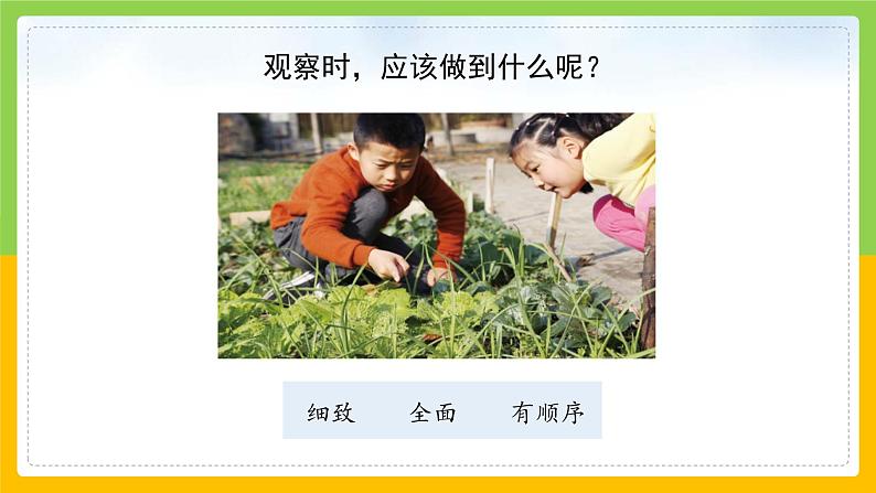 教科版 科学 二年级上册《土壤——动植物的乐园》课件+教案(含教学反思)07