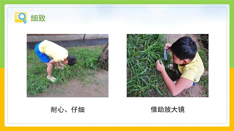 教科版 科学 二年级上册《土壤——动植物的乐园》课件+教案(含教学反思)08