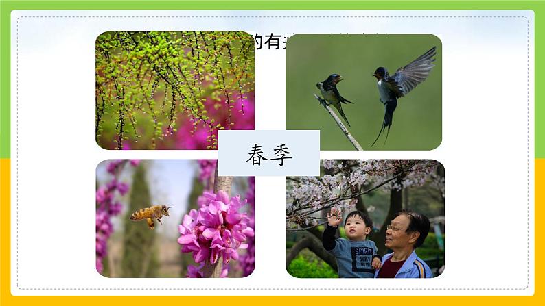 教科版 科学 二年级上册《不同的季节》课件+教案(含教学反思)07