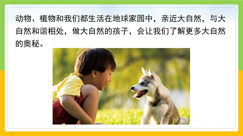 教科版 科学 二年级上册《做大自然的孩子》课件+教案(含教学反思)06