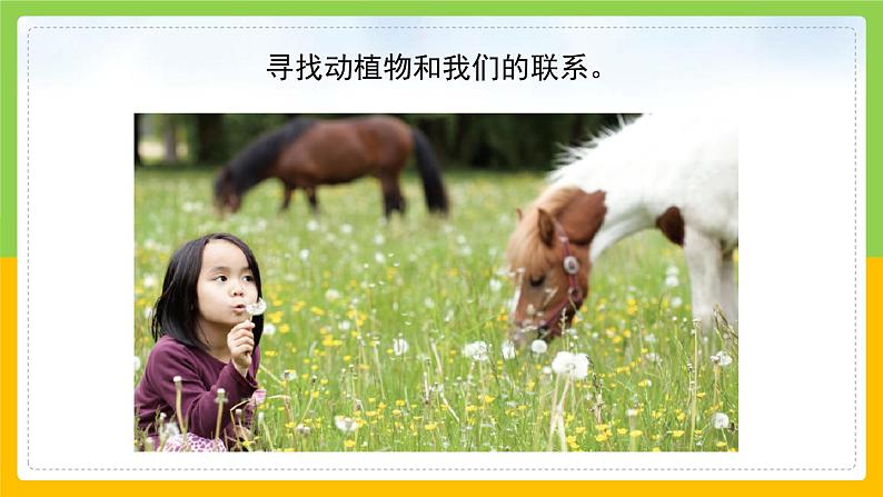教科版 科学 二年级上册《做大自然的孩子》课件+教案(含教学反思)07