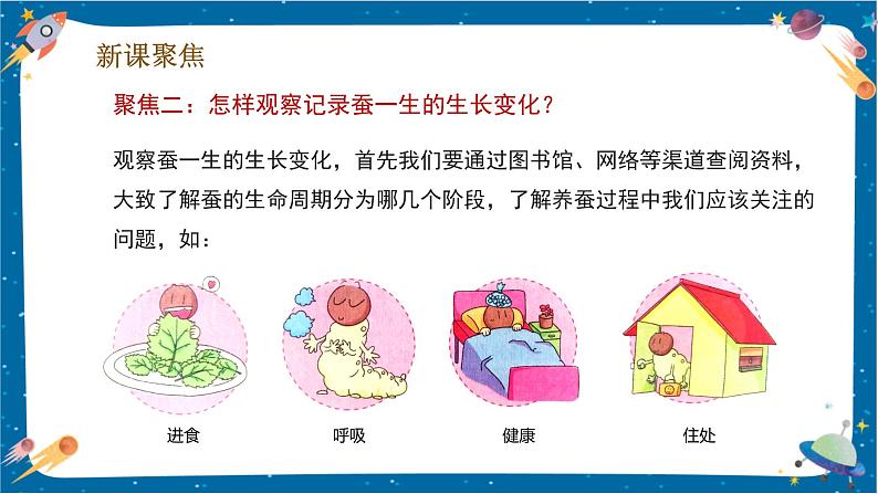 2.1 迎接蚕宝宝的到来(课件)第5页