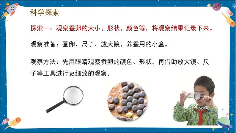 2.1 迎接蚕宝宝的到来(课件)第7页