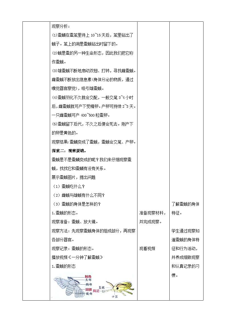【核心素养】2.5《茧中钻出了蚕蛾》课件+教案(教科版科学三下)03