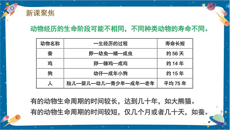【核心素养】2.8《动物的一生》课件+教案(教科版科学三下)04