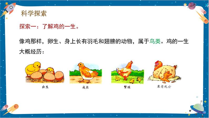 【核心素养】2.8《动物的一生》课件+教案(教科版科学三下)06