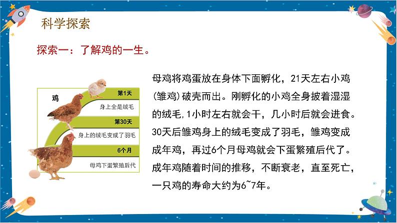 【核心素养】2.8《动物的一生》课件+教案(教科版科学三下)07