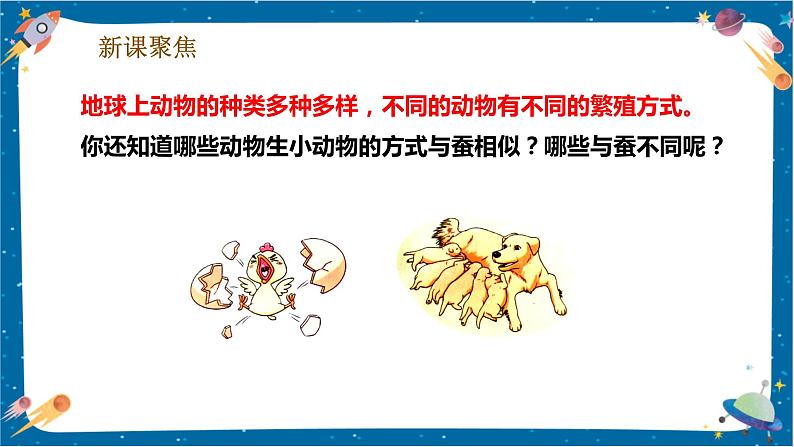 2.7 动物的繁殖(课件)第6页