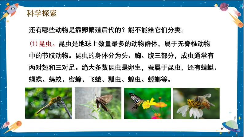 2.7 动物的繁殖(课件)第8页