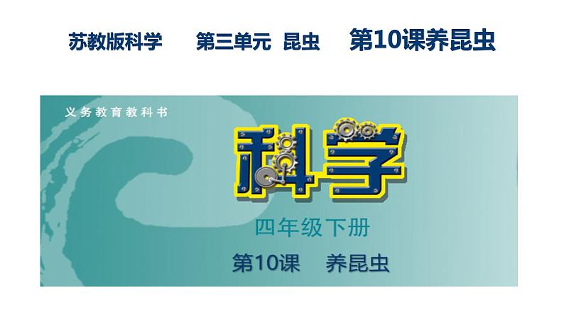 第10课 养昆虫 课件第1页
