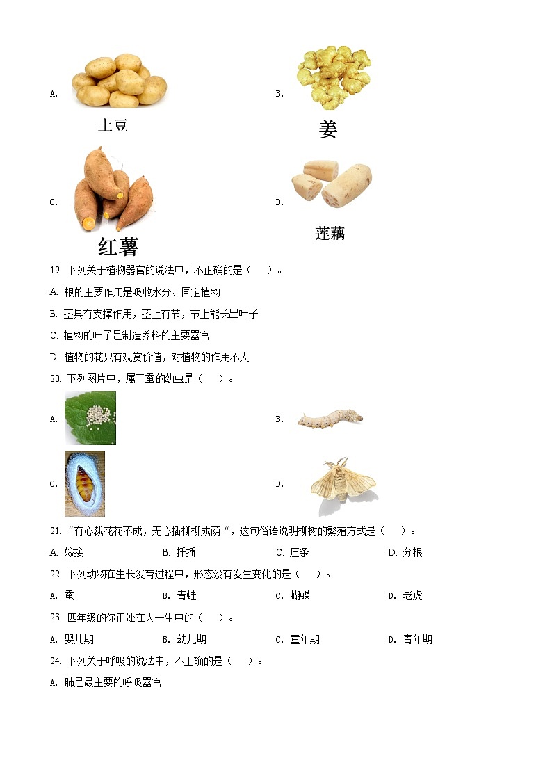 冀人版科学四年级下册 期中检测卷1(含答案)02