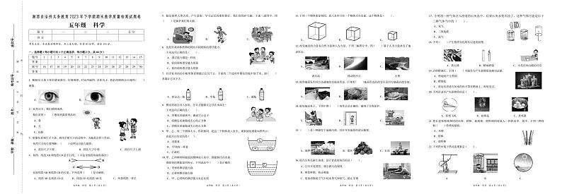 湖南省湘西州2023-2024学年五年级上学期期末考试科学试题01