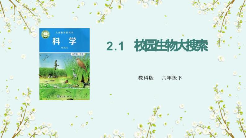 教科版科学六下2.1《校园生物大搜索》课件+教学设计+素材01