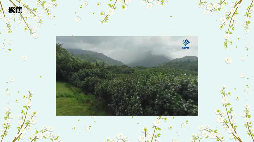 第1課 校園生物大搜索 課件第3頁