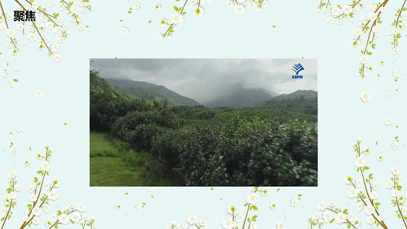 教科版科学六下2.1《校园生物大搜索》课件+教学设计+素材03