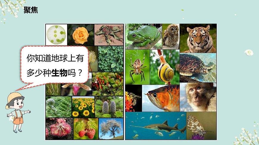 第1課 校園生物大搜索 課件第4頁