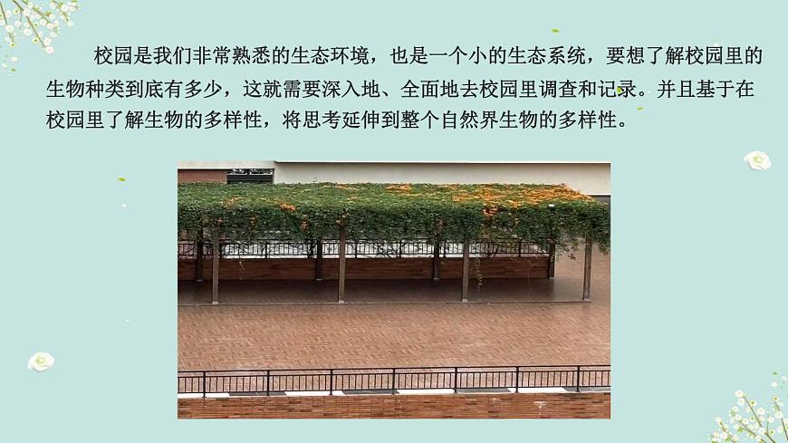 第1課 校園生物大搜索 課件第7頁
