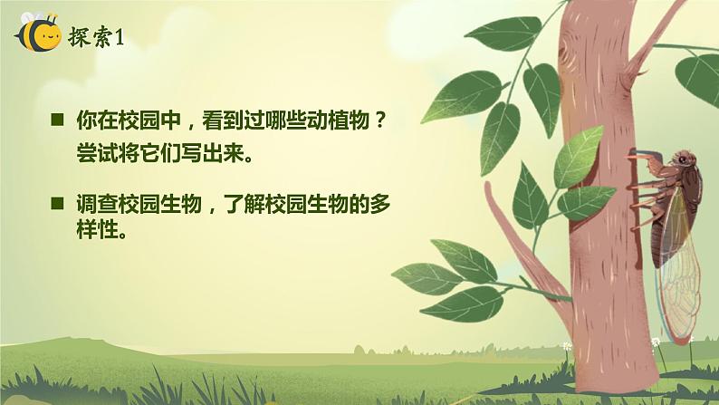 第1课 校园生物大搜索(教学课件)-2023-2024学年六年级科学下册同步精品课堂系列(教科版)第6页